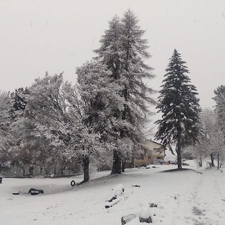 Posada Del Nireco Bariloche Buitenkant foto