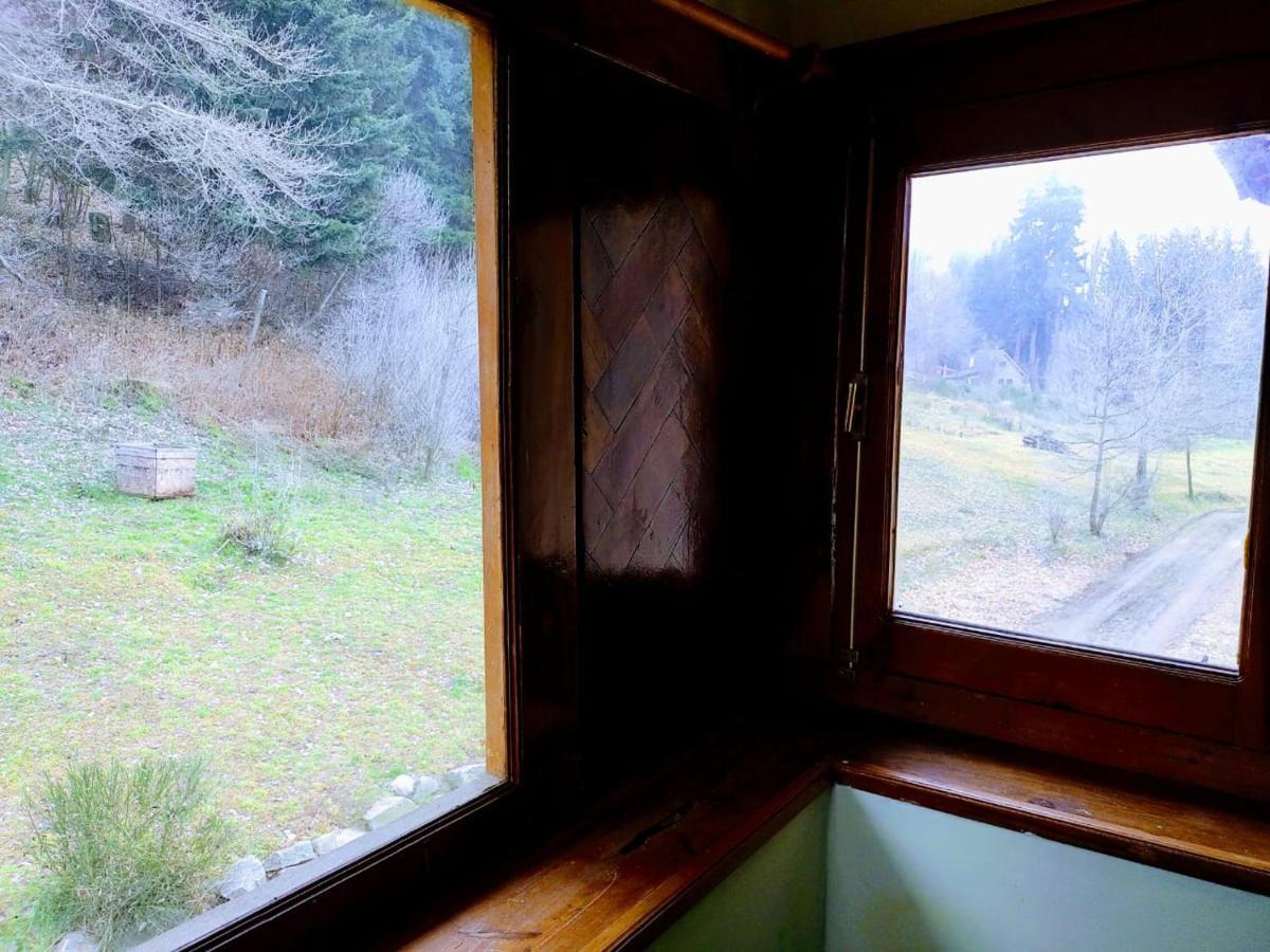 Posada Del Nireco Bariloche Buitenkant foto