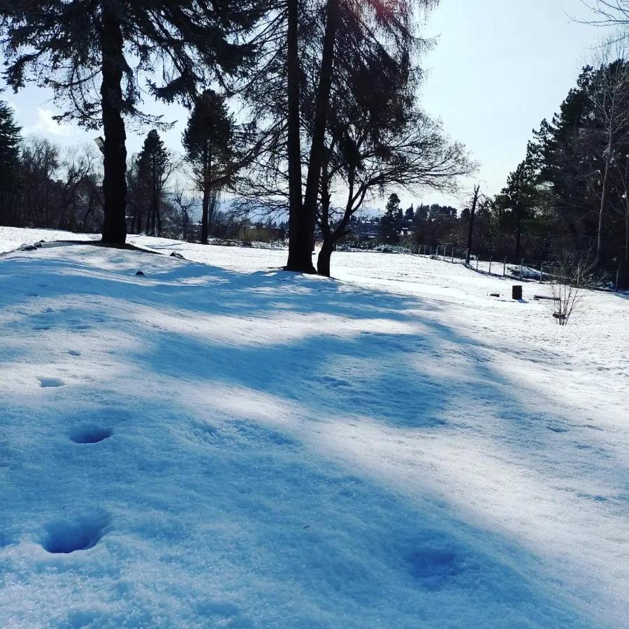 Posada Del Nireco Bariloche Buitenkant foto