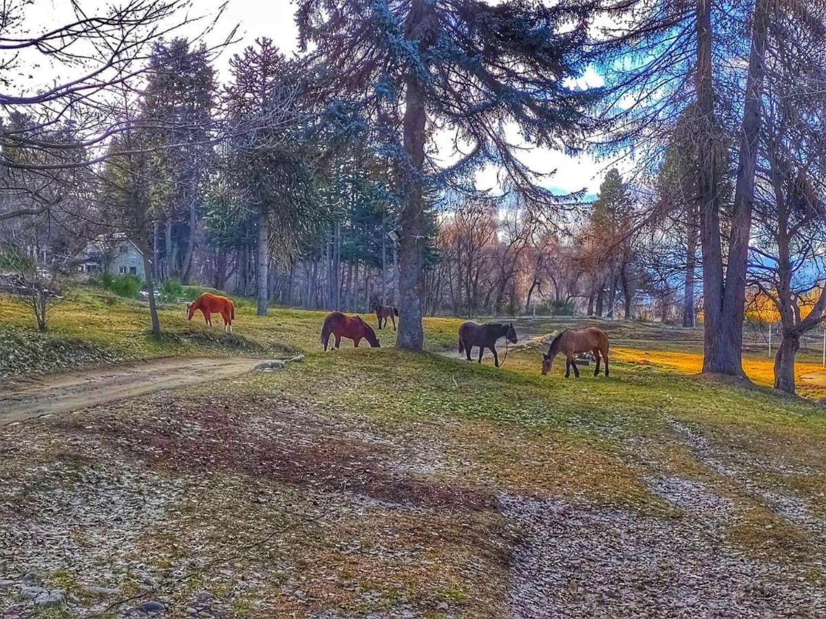 Posada Del Nireco Bariloche Buitenkant foto