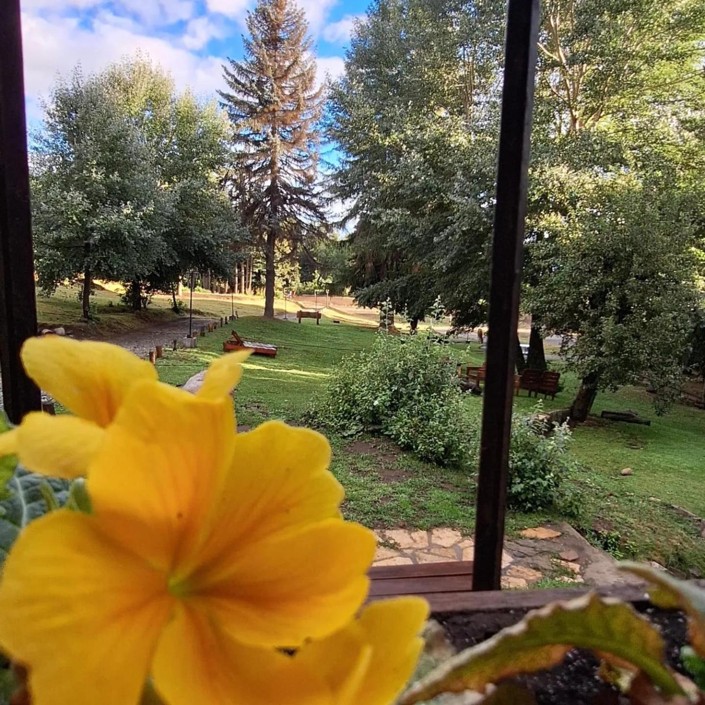 Posada Del Nireco Bariloche Buitenkant foto