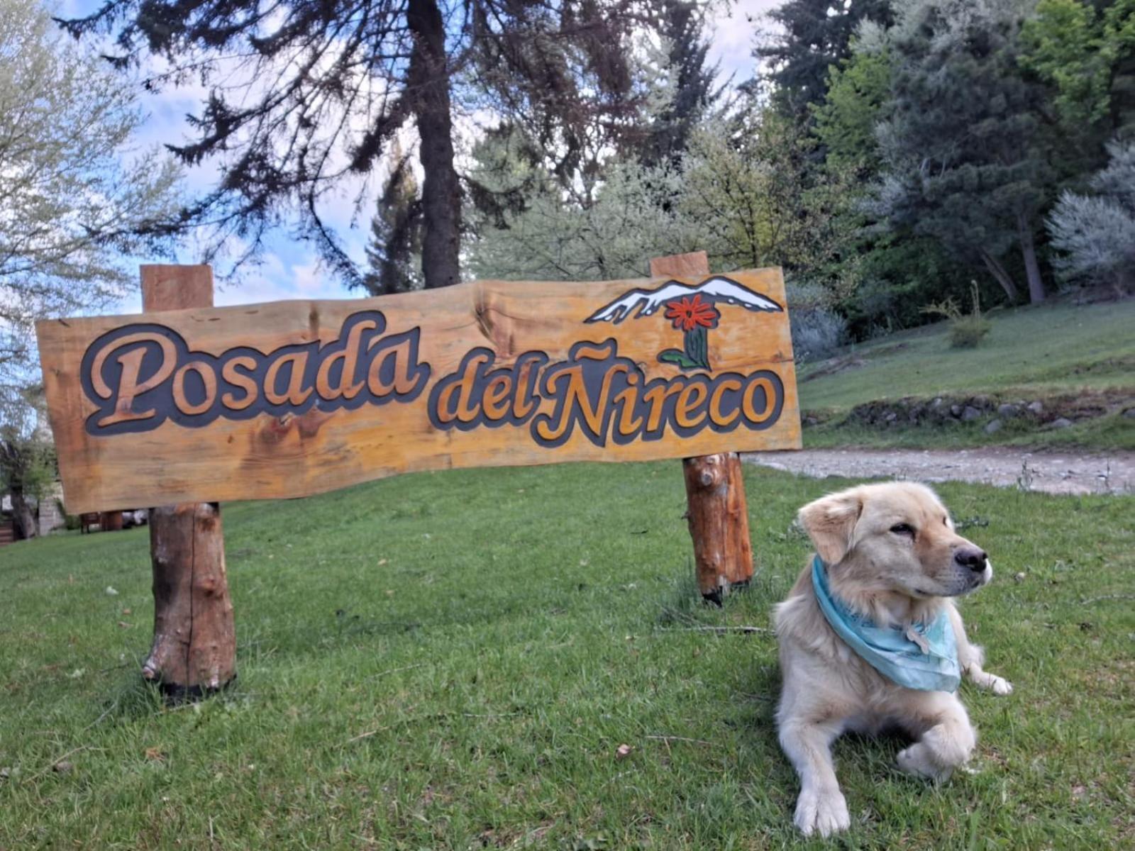 Posada Del Nireco Bariloche Buitenkant foto