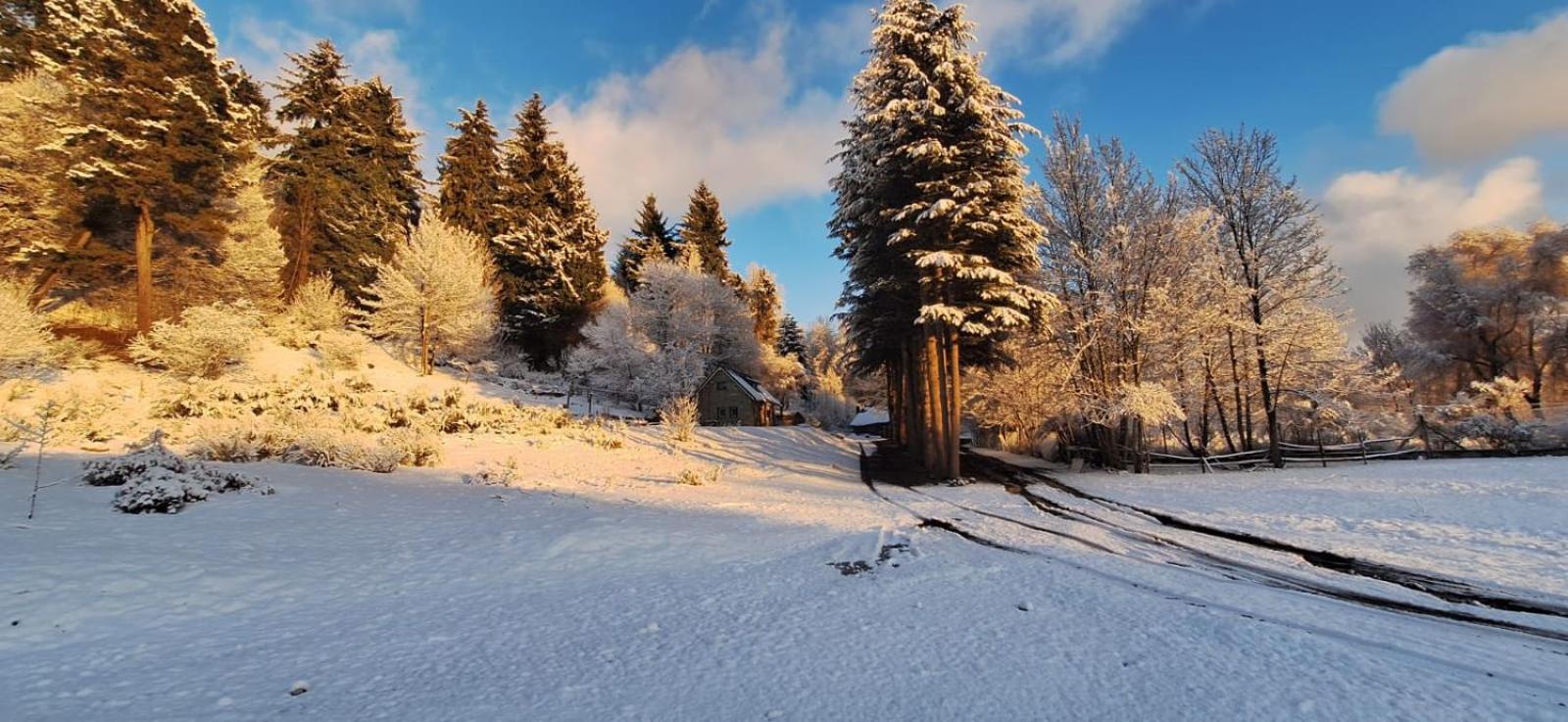 Posada Del Nireco Bariloche Buitenkant foto